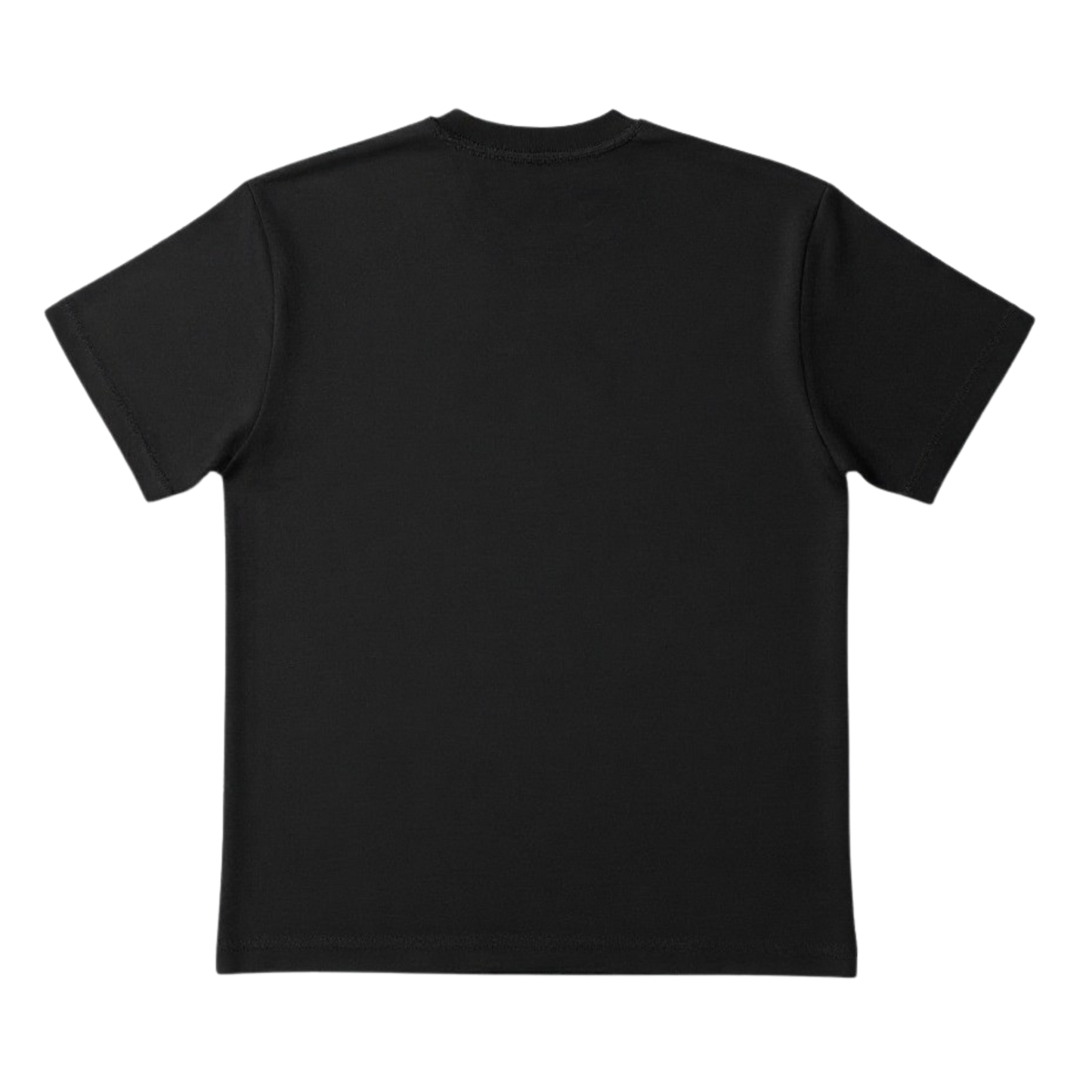 Mad Labs Fire Logo T-Shirt – Black